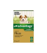 اسباب بازی سگ جیرجیر مدل پازل قایم باشک فریسکو گواکامولی - Image 3